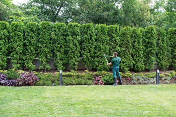 Lawn Irrigation Installation and Maintenance in Delavan Lake, WI